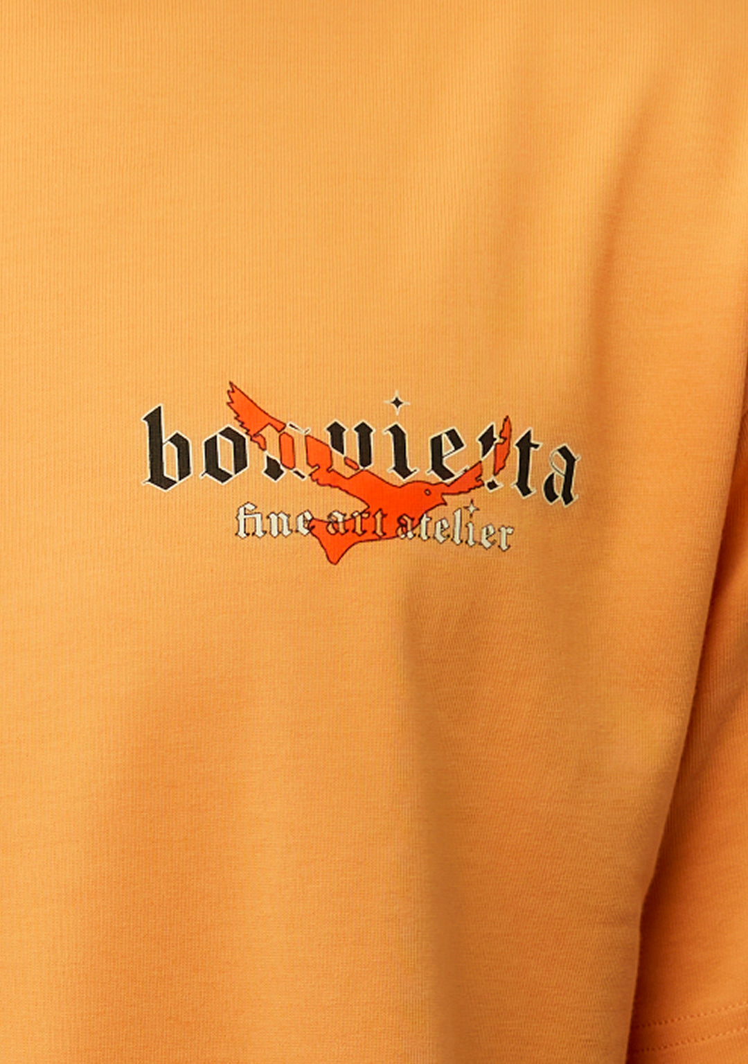 Bonvietta Phoenix Ascent Tee Close Up